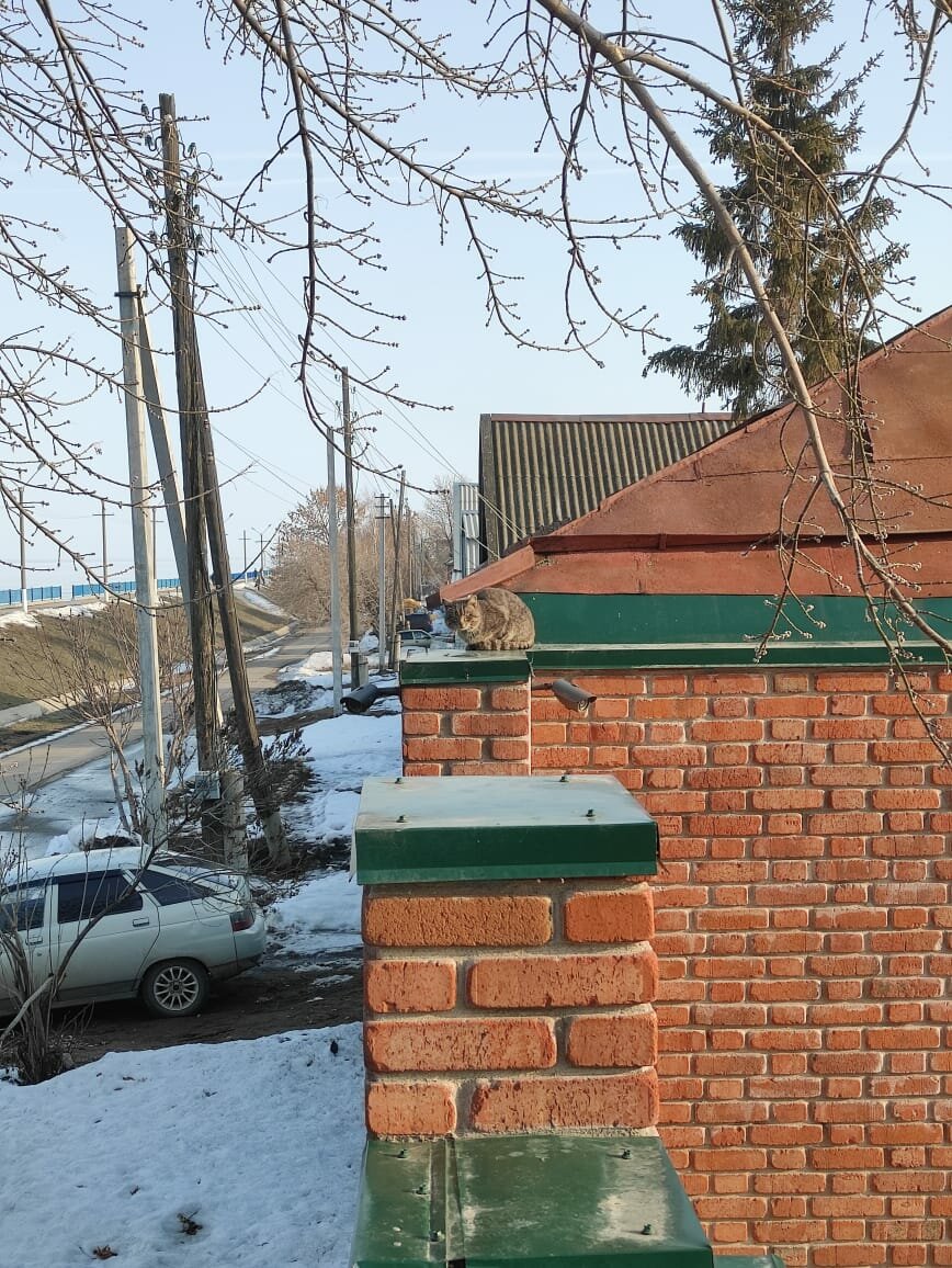 Гостиница Серебряный век Хвалынск-248